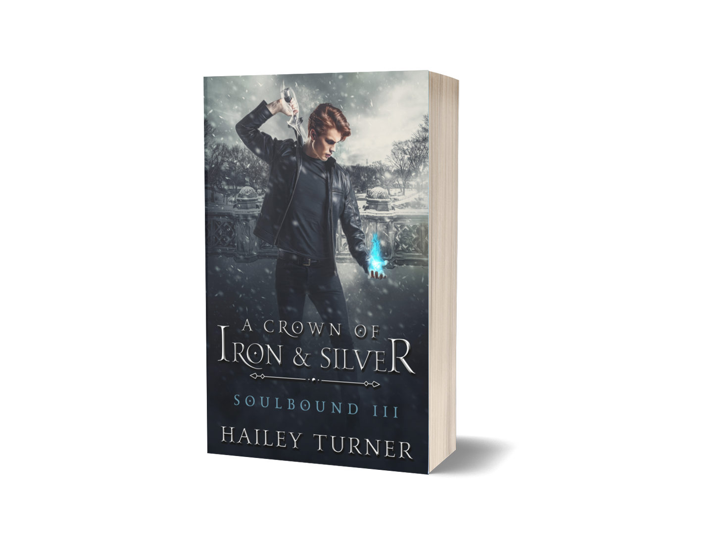 A Crown of Iron & Silver Paperback