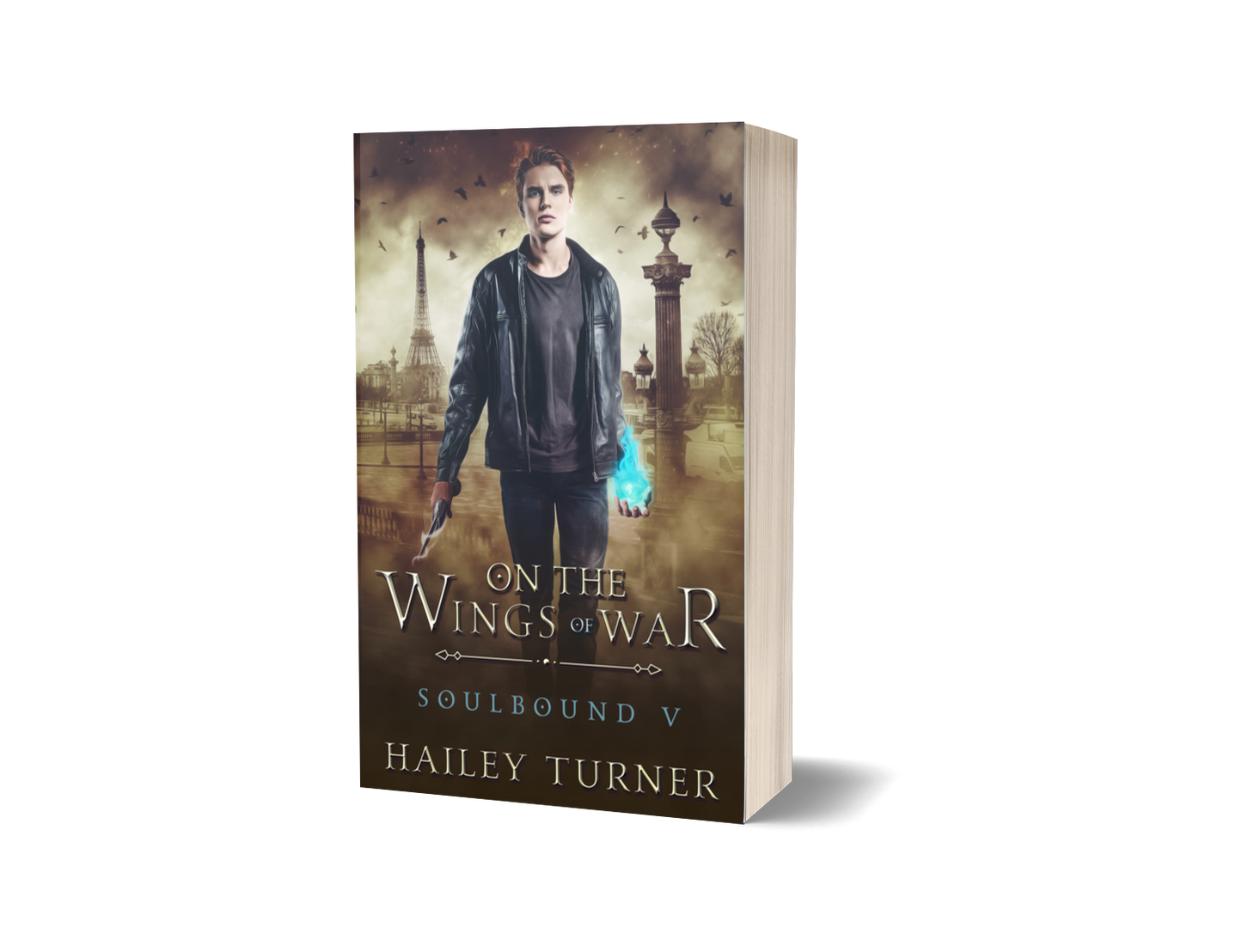 On the Wings of War Paperback