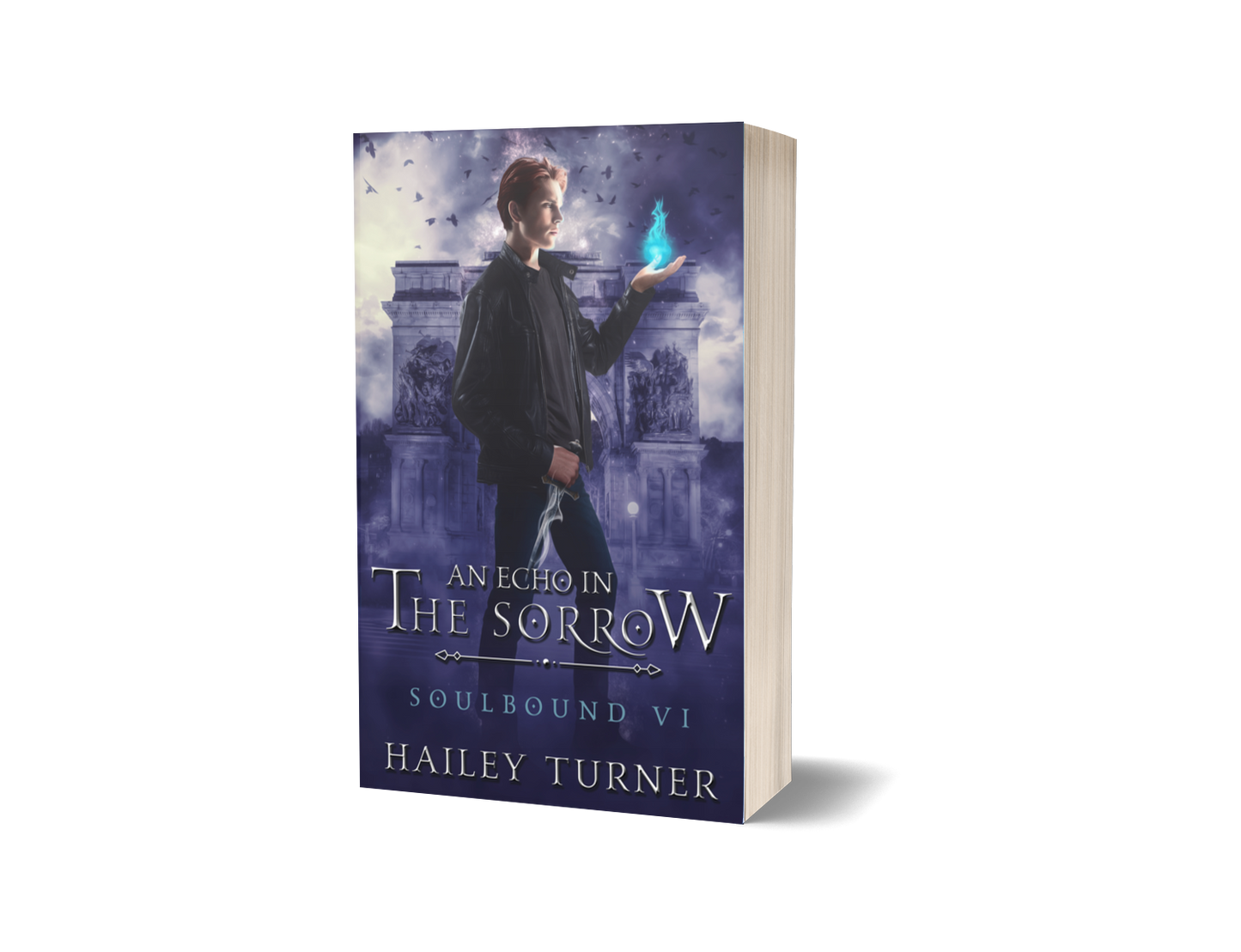 An Echo in the Sorrow Paperback