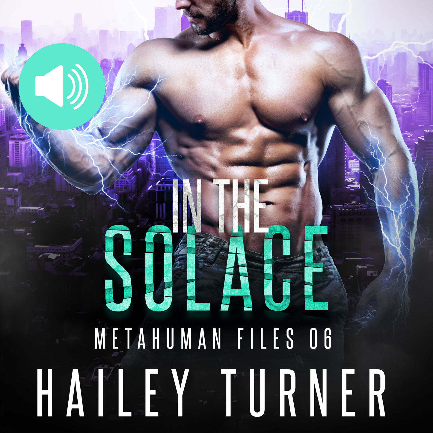 In the Solace Audiobook