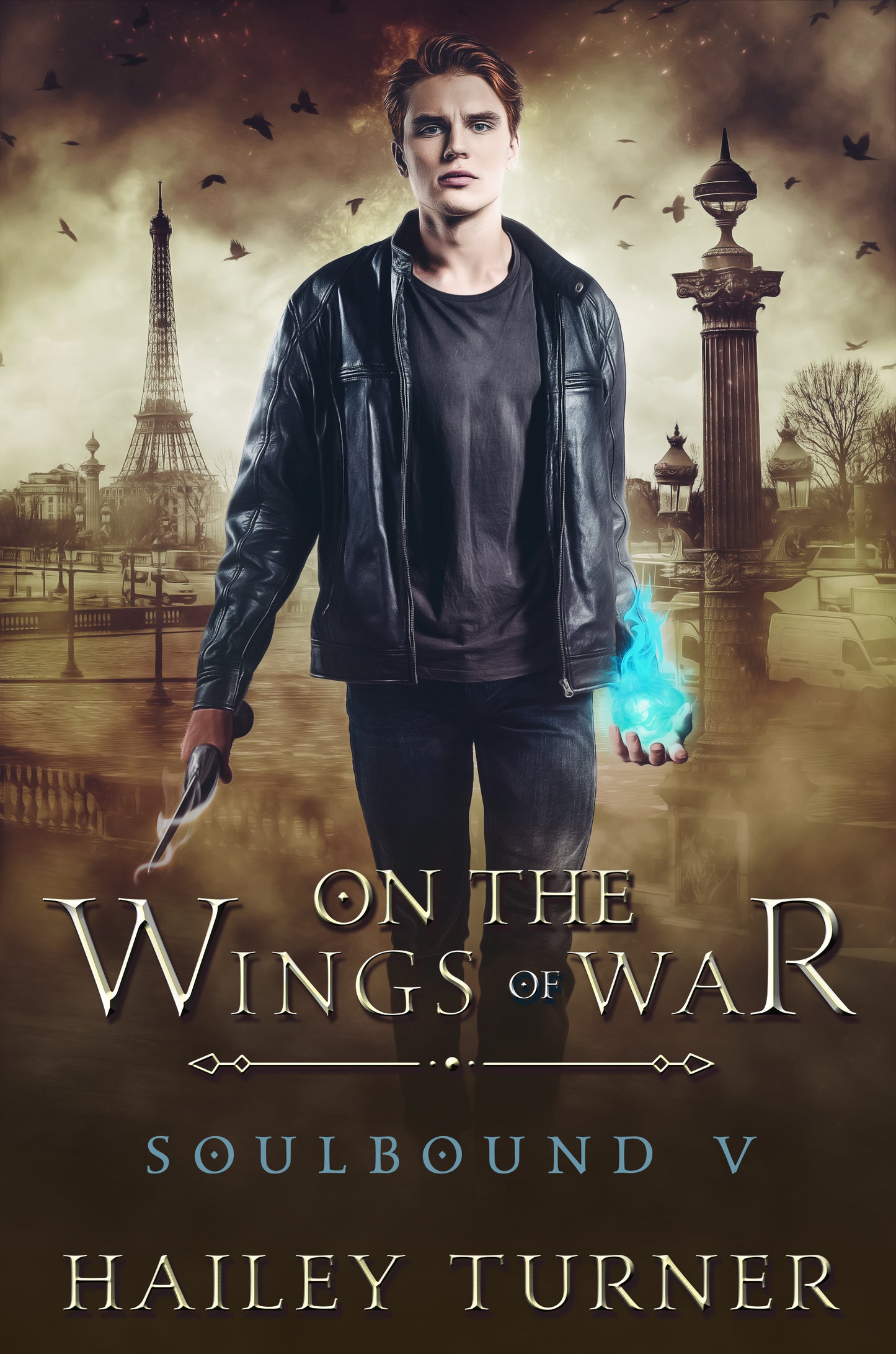 On the Wings of War Paperback