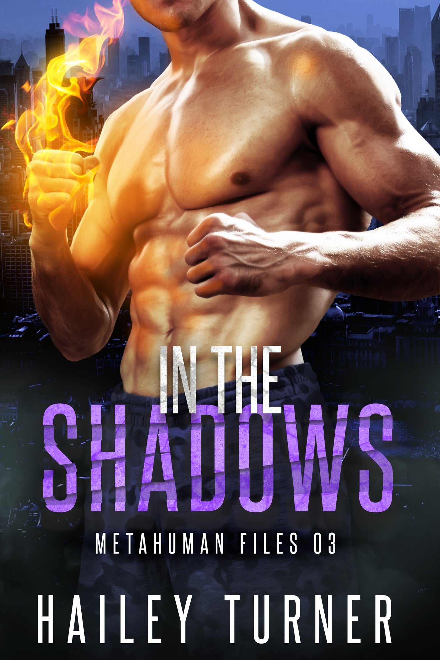 In the Shadows Paperback