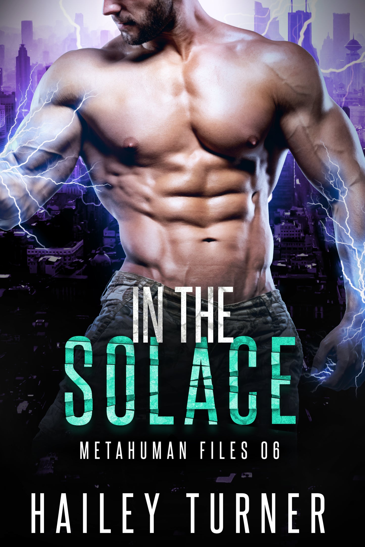 In the Solace Paperback