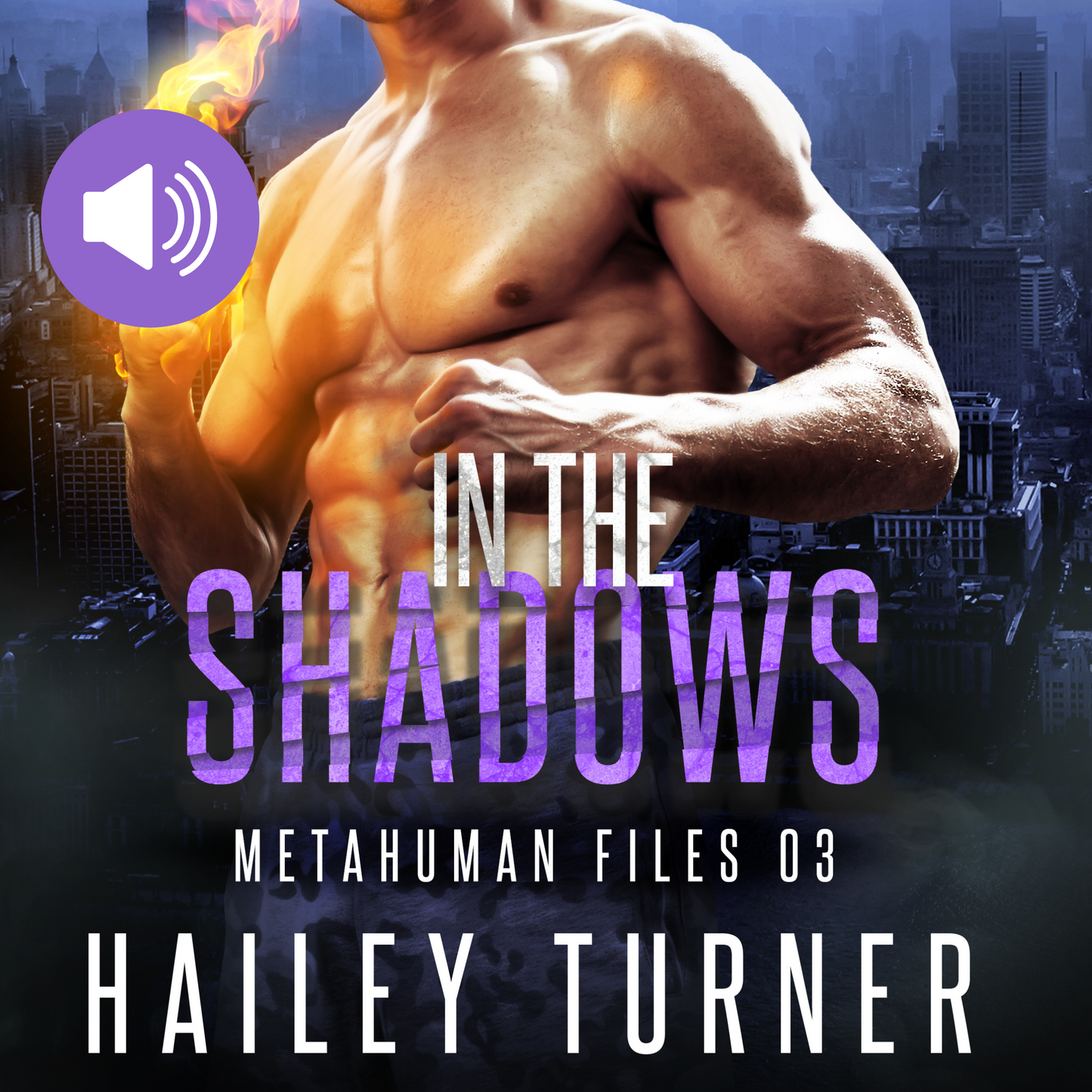 In the Shadows Audiobook