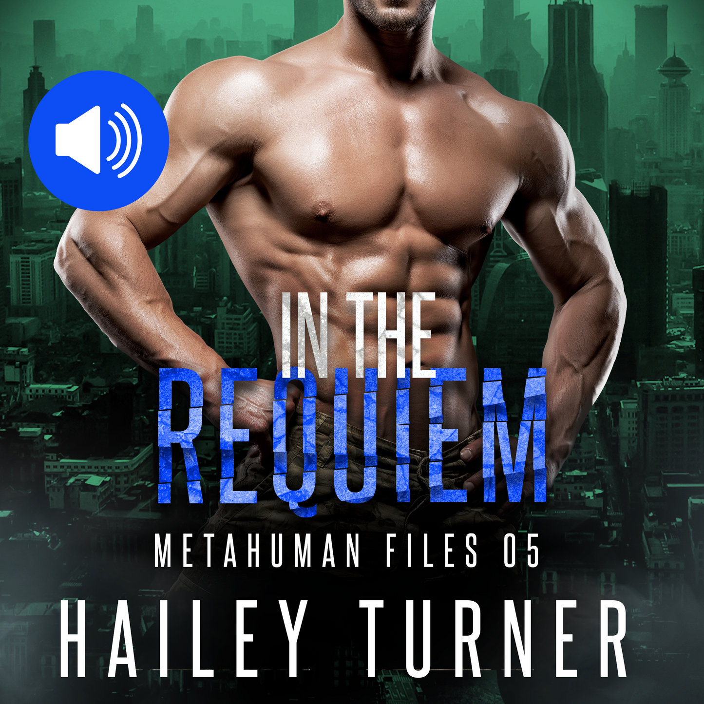 In the Requeim Audiobook